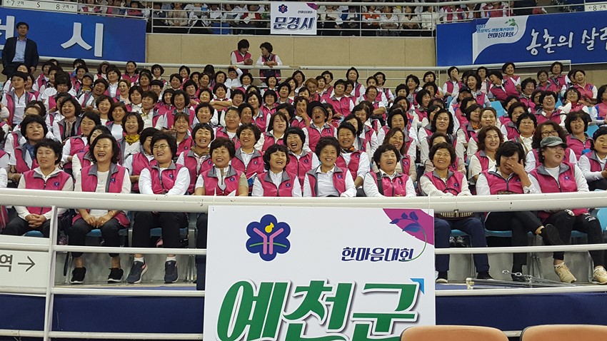 3.예천군 2017 경상북도생활개선회원 한마음 대회 수상